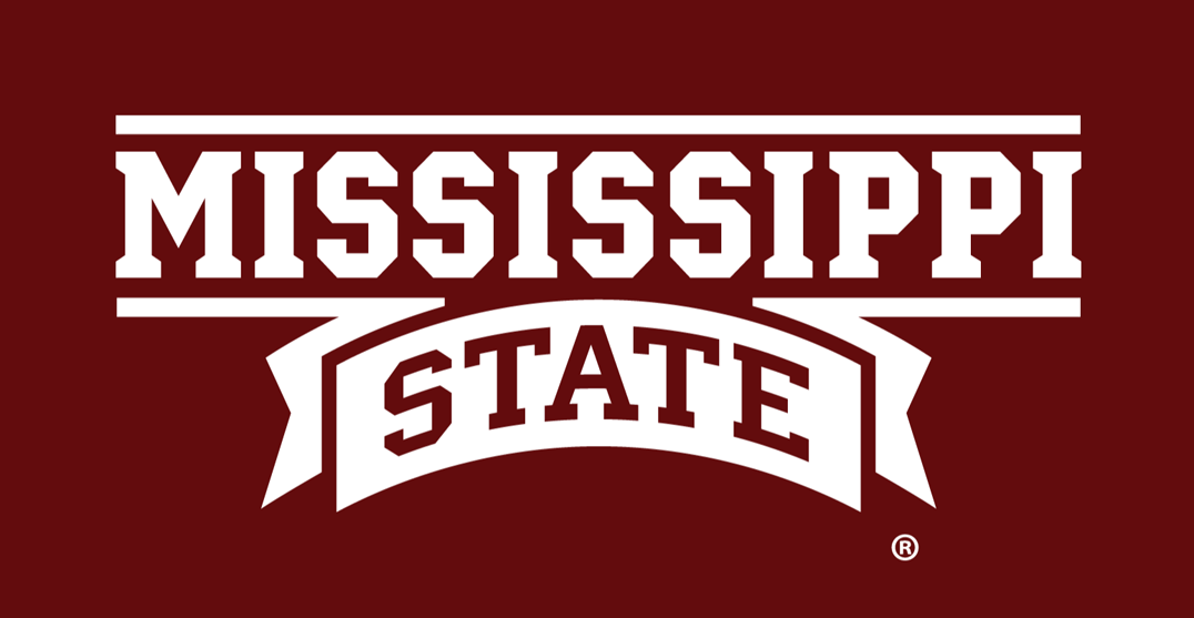 Mississippi State Bulldogs 2009-Pres Wordmark Logo v2 diy iron on heat transfer